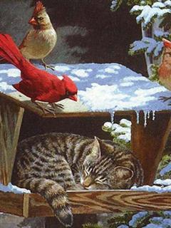 Other Wallpapers 0551